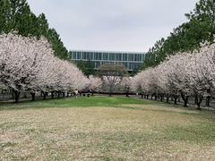 -同济大学(嘉定校区)