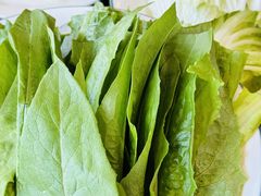 -德顺斋爆肚涮肉馆·烧烤·羊蝎子·清真炒菜(马驹桥店)