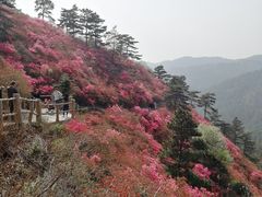 -木兰云雾山