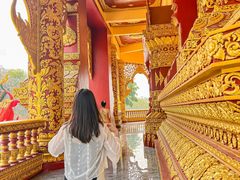 -西双版纳勐泐文化旅游区