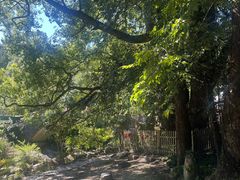 -石台牯牛降景区