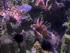 -太平洋海底世界