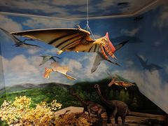 -安徽省地质博物馆