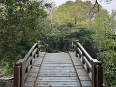 -桃花岛景观公园