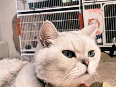 -小时光咖啡馆(北锣鼓巷店)