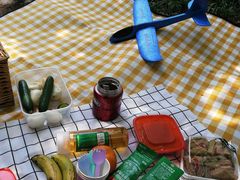 -桤木河湿地公园