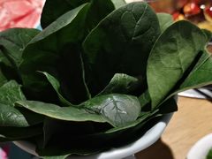 -青瓷火锅料理(西单大悦城店)