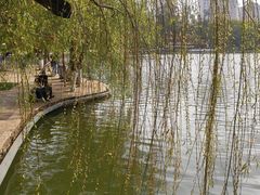 -翠湖公园