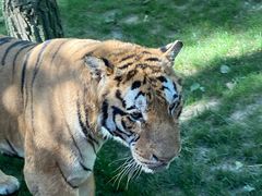 -北京野生动物园