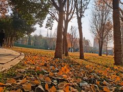-达活泉公园