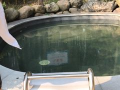 -江南天池高山汤泉城