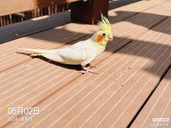 -燕塞湖鸟语林景区