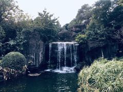 -荔枝公园(福田区)