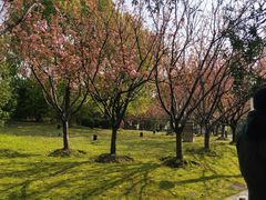 -苏州河梦清园环保主题公园