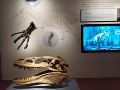 -自贡恐龙博物馆