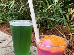 -奥兰多迪士尼动物王国乐园