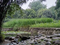 -成都市活水公园