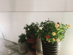 -Mark&Mars Restaurant