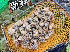 -岛中岛·海鲜大排档·万宁老字号(东澳店)