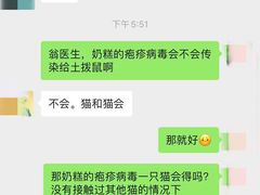 -飞行喵MR PILOT|猫舍·猫咖(静安大融城店)