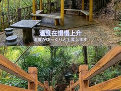 -滴水岩森林公园