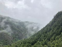 -苍山感通索道