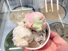 -半岛听涛蒸汽海鲜自助(K11店)
