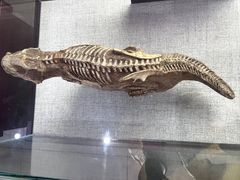 -中国西峡恐龙遗迹园