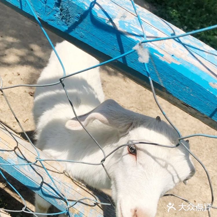 这个夏日带宝贝来亲子游乐园培养感情吧！