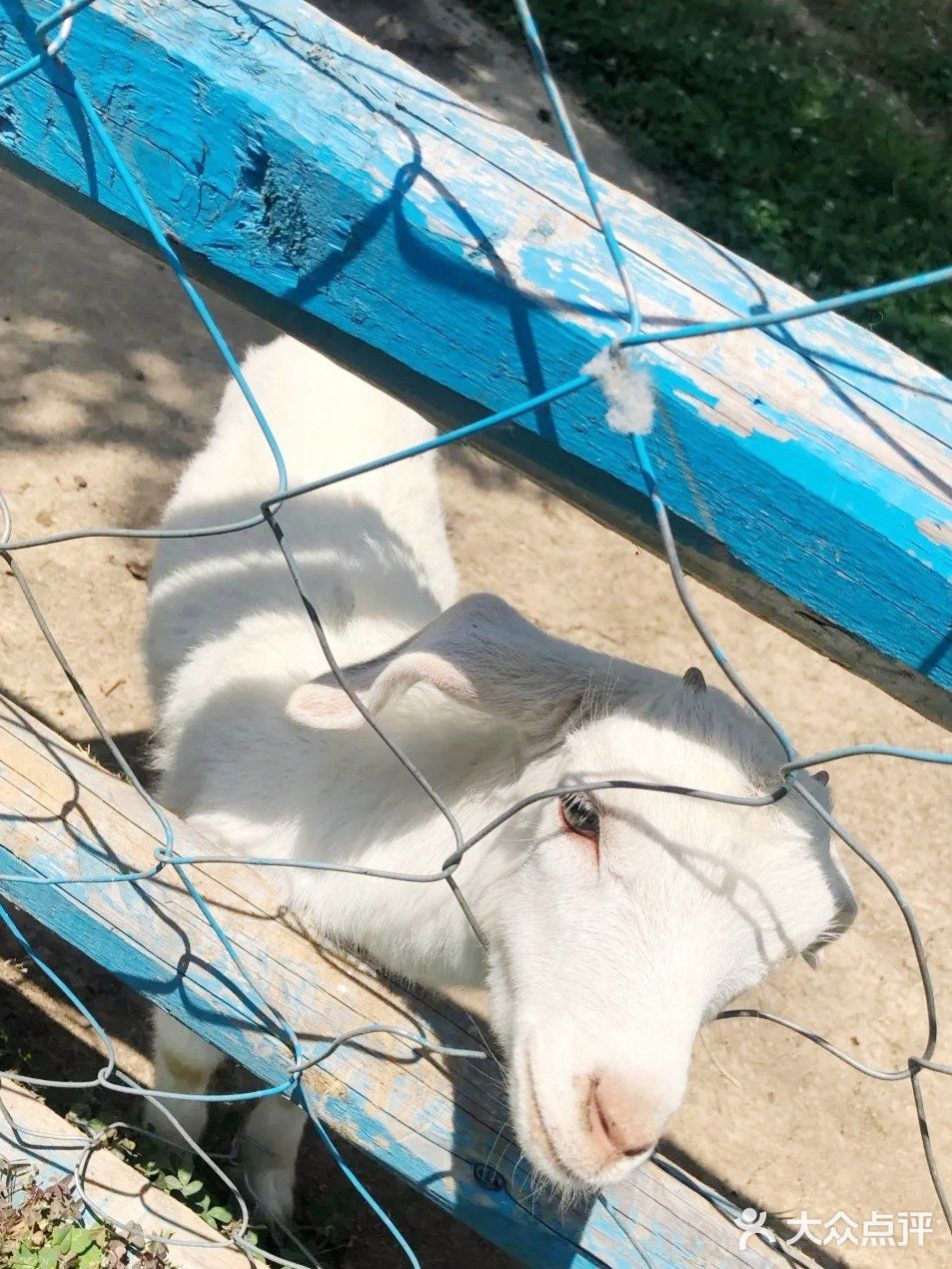 这个夏日带宝贝来亲子游乐园培养感情吧！