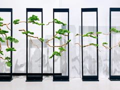 -浙江西湖美术馆