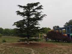 -太阳宫公园