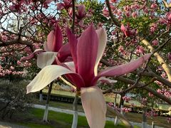 -白塘生态植物园