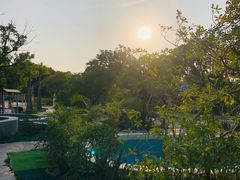 -汕头莲花山度假村温泉