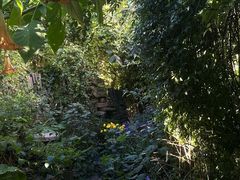 -斯多格书乡(北京大学畅春园店)