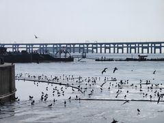 -星海广场