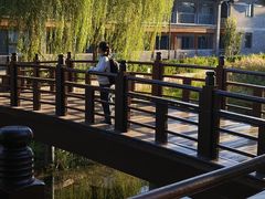 -姚记炒肝店(鼓楼店)