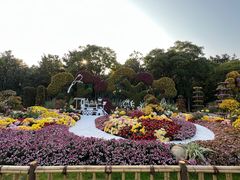 -上海共青森林公园