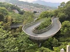 -福道