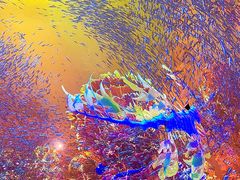 -海合安天津极地海洋公园