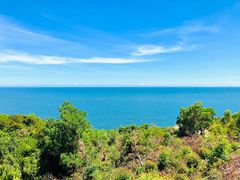 -广东惠东海龟国家级自然保护区