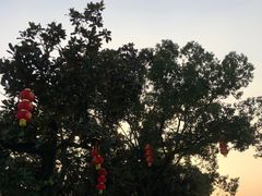 -溪口-滕头旅游景区
