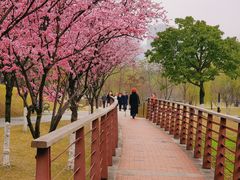 -沐仙湖湿地公园