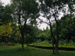 -重庆彩云湖湿地公园