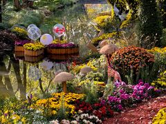 -上海共青森林公园