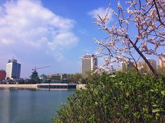 -迎泽公园