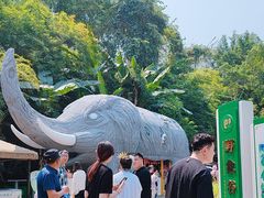-野象谷景区