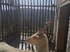 -白鹿原影视城