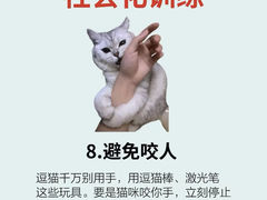 -lincat·猫舍(广州店)