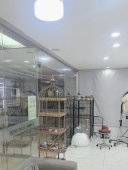 点击看大图 -镁连社·美联社